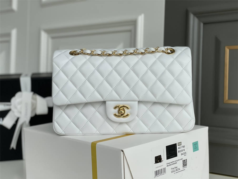 Chanel classic flap 25cm 2025 new 